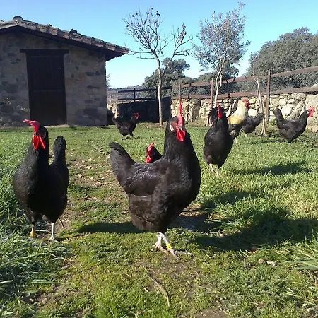 La Alquería De