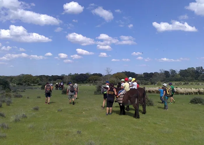 La Alqueria De カントリーハウス Mámoles